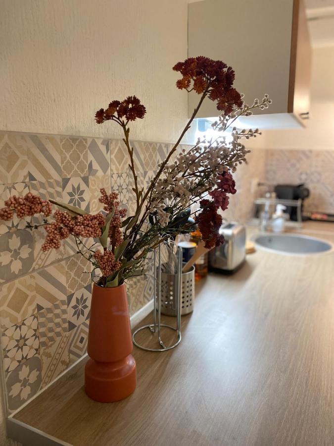 דירות Les Cosy De Nancy - Le Duplex Vintage 4* מראה חיצוני תמונה